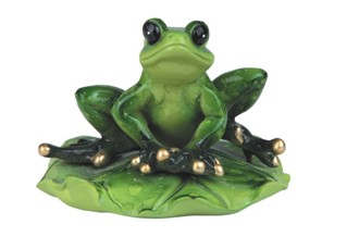 Frog on Lilypad