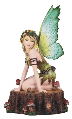 Earth Fairy on TreeTrunk