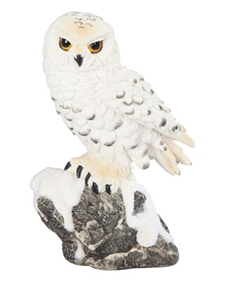 Snowy Owl