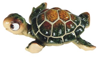 Green Sea Turtle
