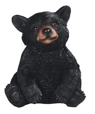 Black Bear