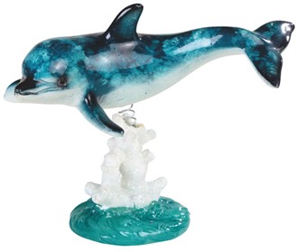 Dolphin on Coral