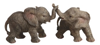 Elephant Pleying Set