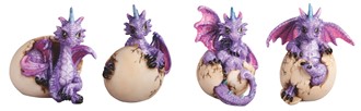 Purple Dragon Egg set