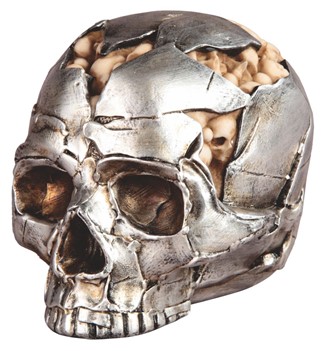 Silver Skull