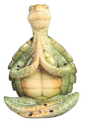 Green Sea Turtle of Yoga Lotus Pose