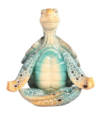 Blue Sea Turtle of Yoga Easy Pose