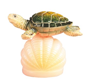Sea Turtle on Shell