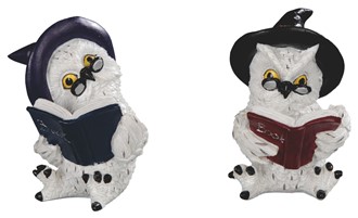 Owl Reading set