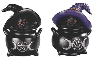 Cat in Cauldron set