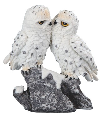 Owl Snow Kissing