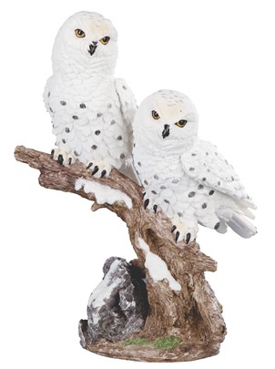 Owl Snow Couple