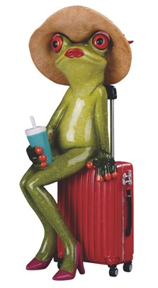 Frog Lady on Suitcase