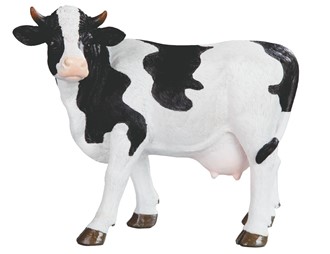 Cow