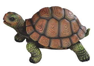 Tortoise