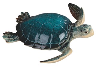 Blue Sea Turtle