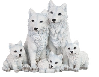 Wolf Family