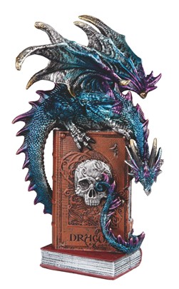Dragon on a Skull Book