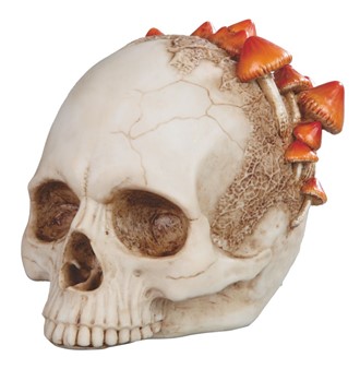 Skull with Mushroom