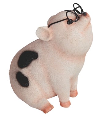 Pig with Glasses