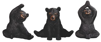 Bear Yoga Set