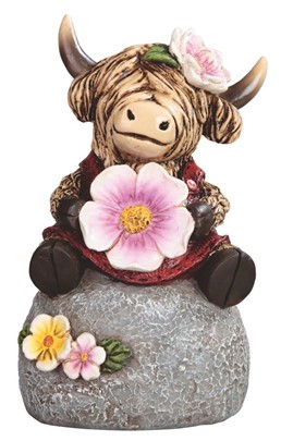 Highland Cow
