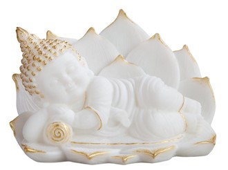 Buddha Sleeping