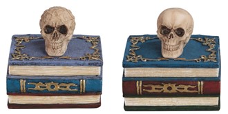 Skull on Book Trinket Box Set