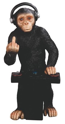 Chimpanzee