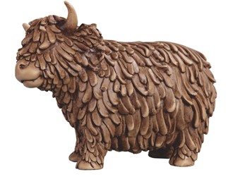 Highland Cow