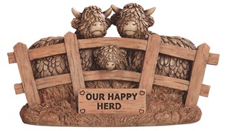 Highland Cow