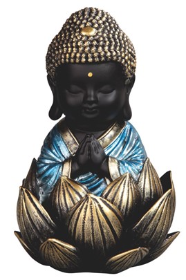 Thai Buddha in Locus