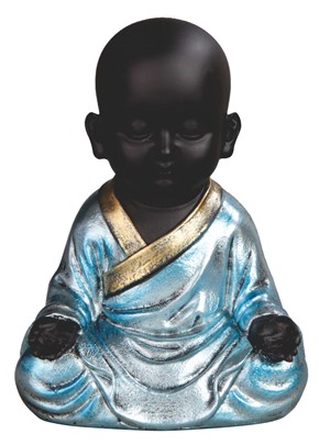 Monk Meditating