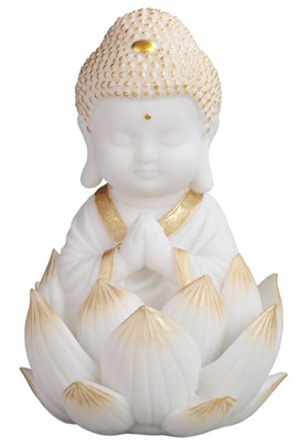 Thai Buddha in Locus