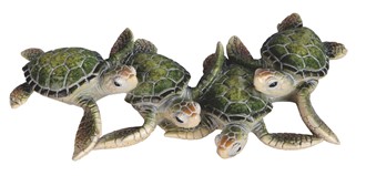Sea Turtle