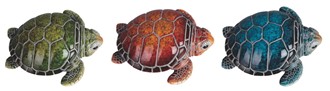 Sea Turtle Babies