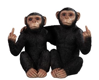 Chimpanzees Sitting Naughty