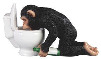 Chimpanzee Toilet