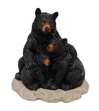 Black Bear with Cubs