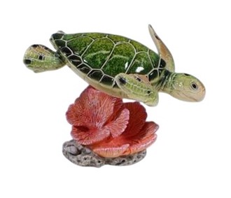 Green Sea Turtle on Red Coral