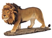 View Lion