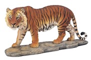 View Bengal Tiger