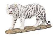 View White Tiger