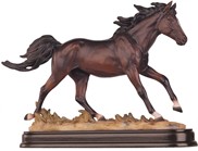 View Dark Brown Horse