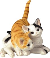View 2 Cats