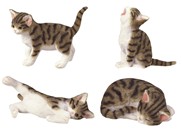 View 4 Mini Cats Set