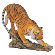 View Bengal Tiger