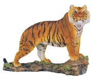 View Bengal Tiger