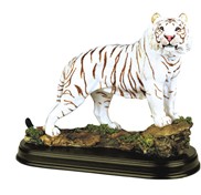 View White Tiger