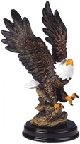 View Eagle